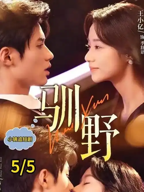暗夜行者 电视剧 2025